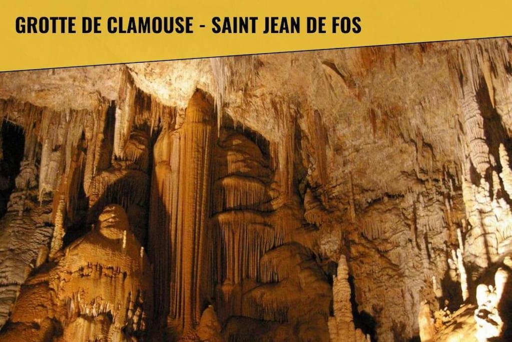 Le Moliere - Enigme Et Sauna Daire Pézenas Dış mekan fotoğraf