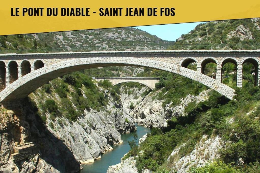 Le Moliere - Enigme Et Sauna Daire Pézenas Dış mekan fotoğraf